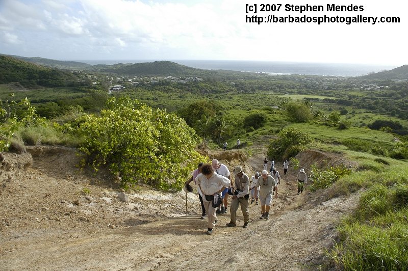 Hike Barbados Endurance Hike