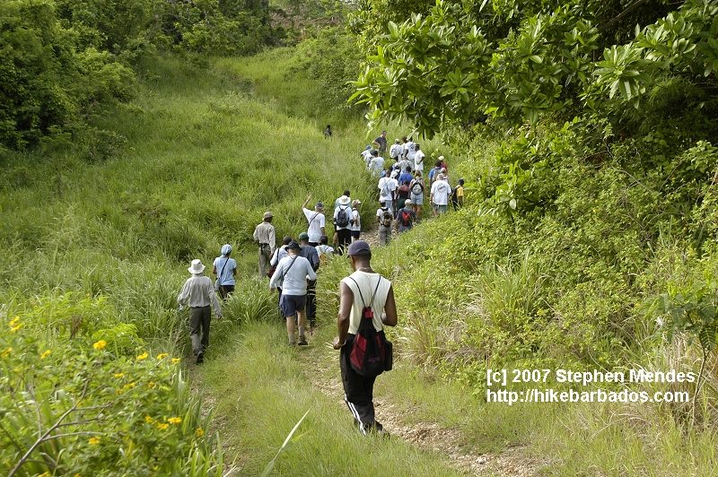 Hike Barbados